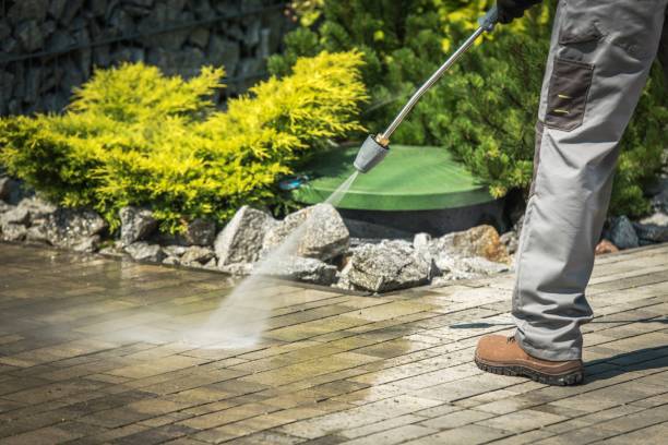 Best Pre-Holiday Cleaning  in Athens, PA